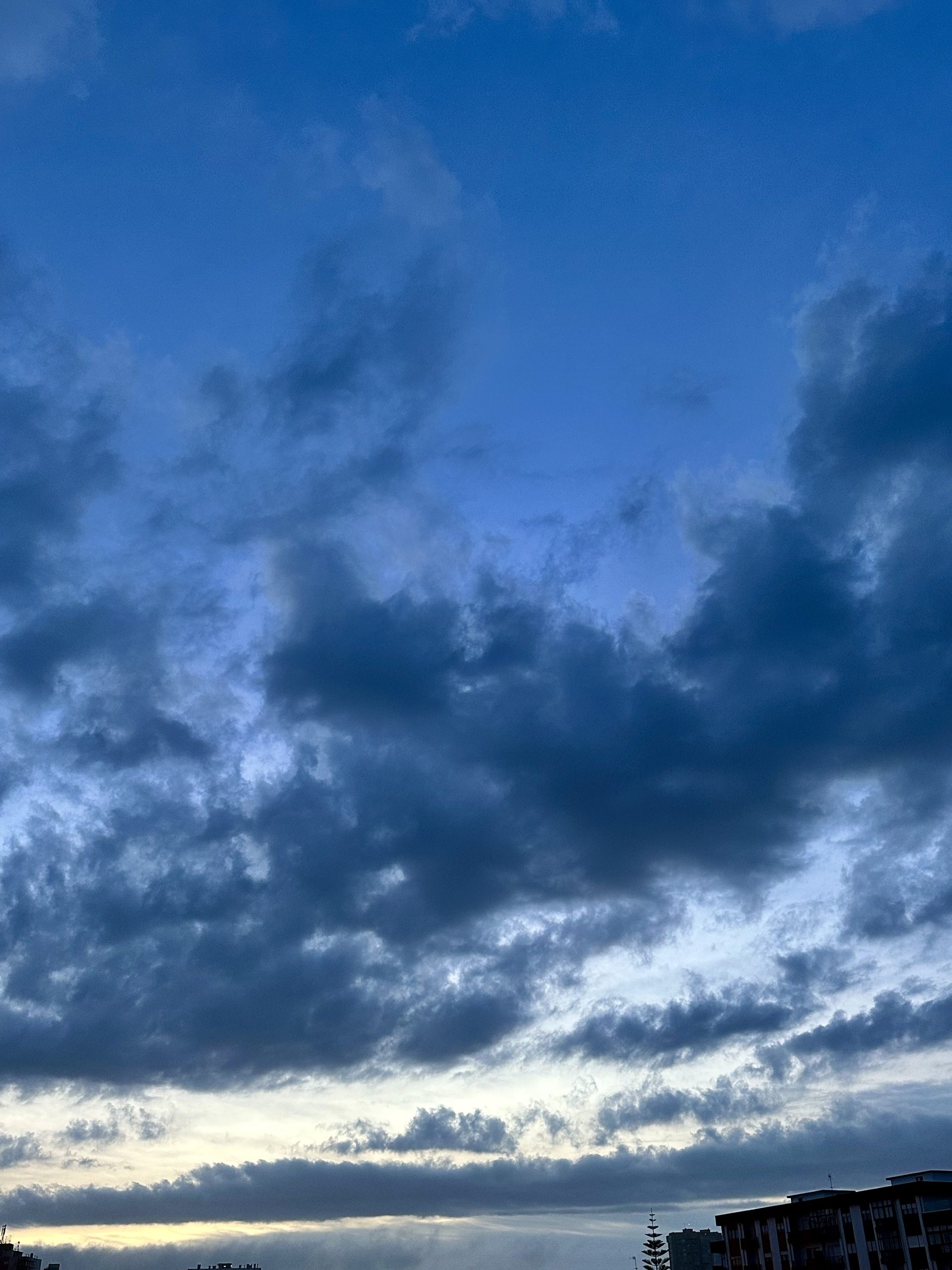 Desacelerar: O Caminho da Calma que a Natureza Nos Ensina